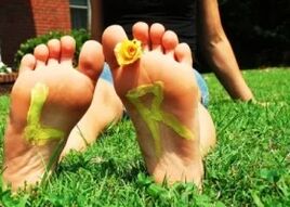 Legs without mushrooms with a flower between fingers