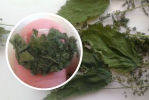 herbs for nail fungus